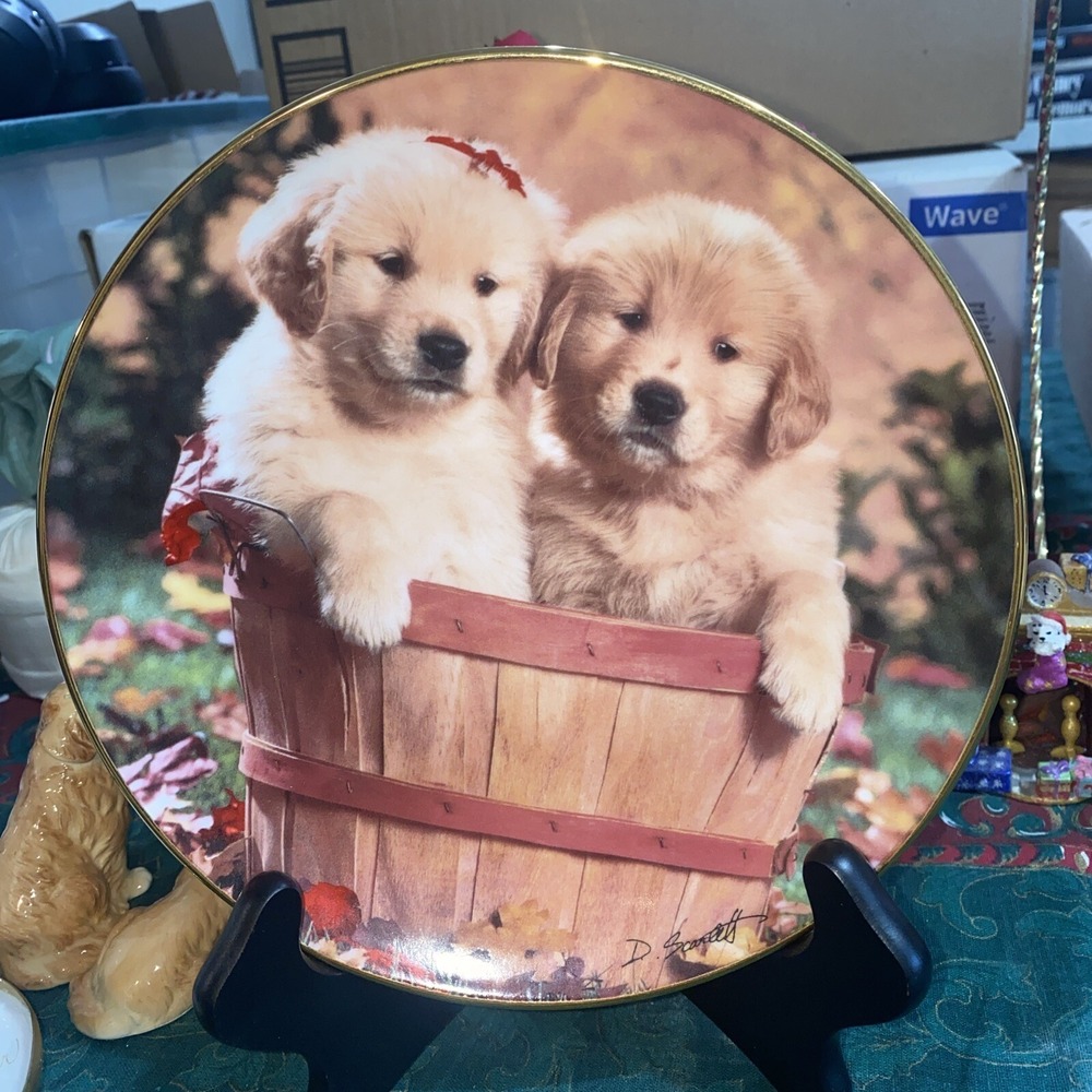VTG Golden Retriever Royal Doulton A Bushel & A Pup 1996 Plate Don Scarlett 8"